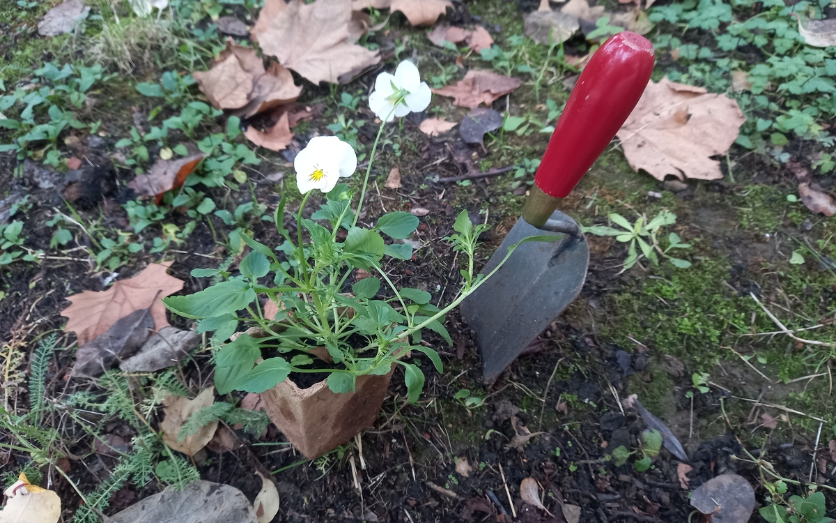 Les plantations pour préparer le printemps Maison du Jardinage - Pôle ressource Jardinage Urbain Paris 12ème