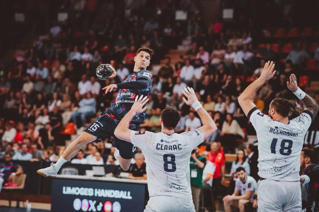 Match de handball LH87 MHB Montpellier