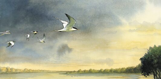 Loire d’Étienne Davodeau Futuropolis