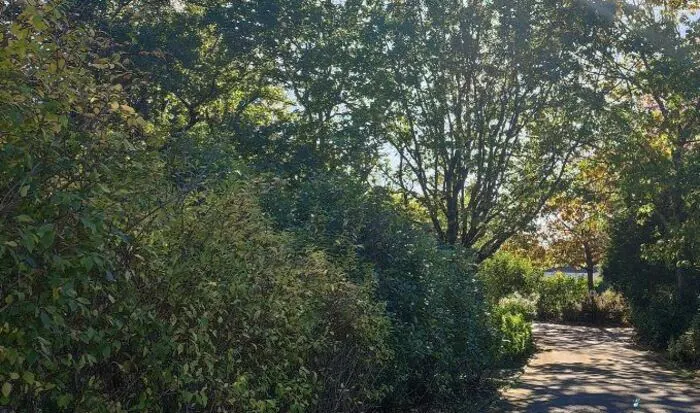 Table ronde : L’arbre à Rezé aujourd’hui… et demain ? Maison du Développement Durable Rezé