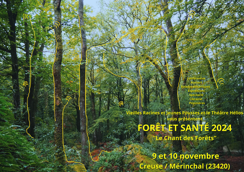 Forêt et Santé