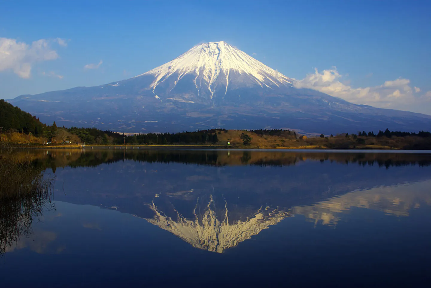 mont fuji japon amélie nothomb