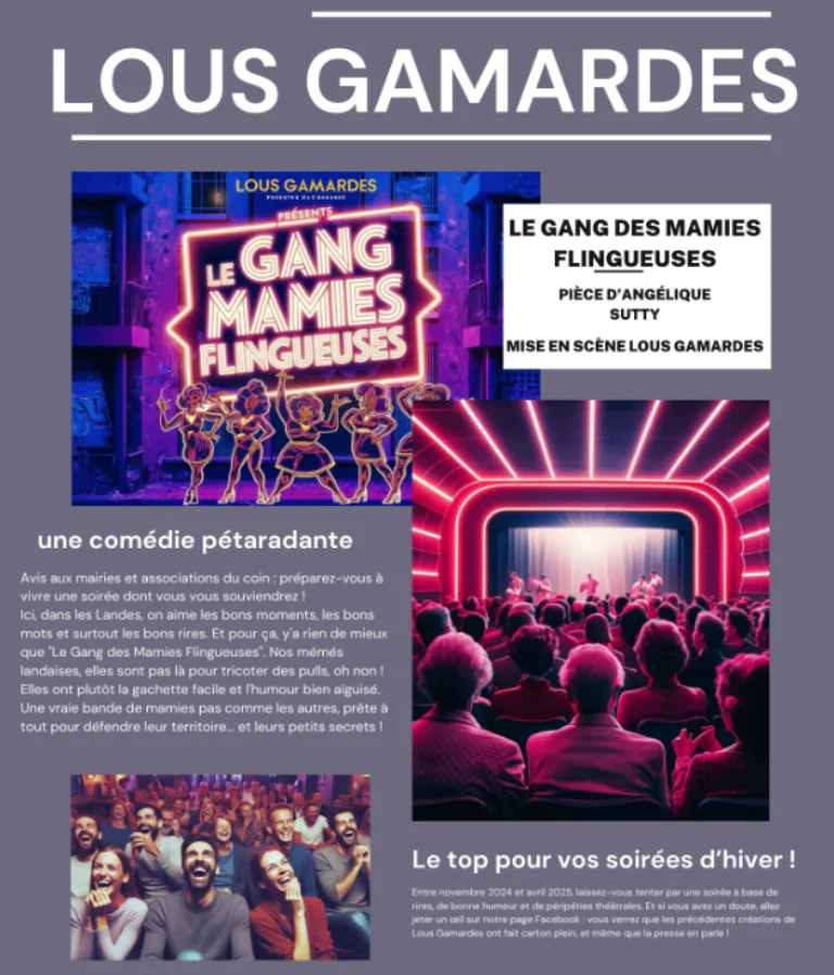 Théâtre "Le gang des mamies flingueuses"