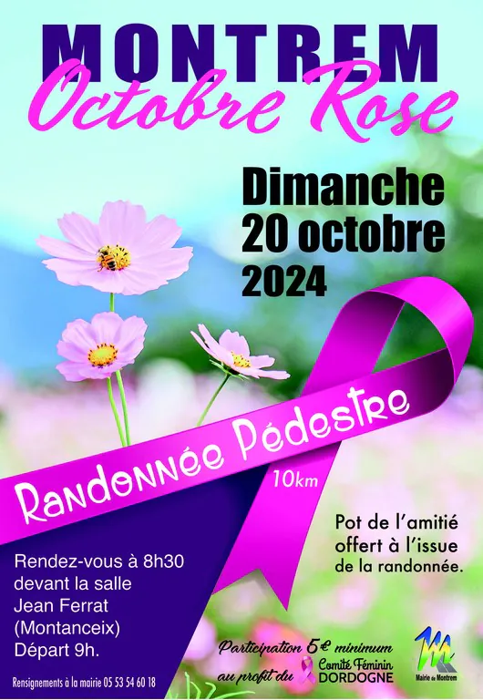 Octobre rose marche