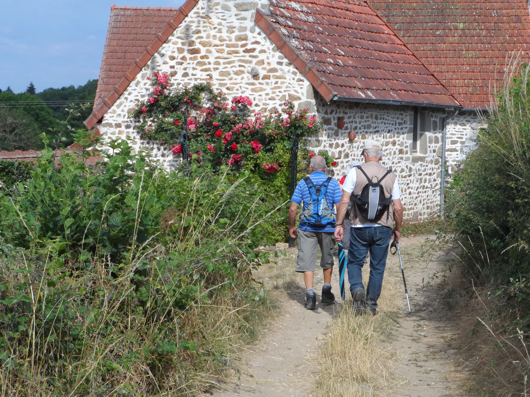 Du bois de Sugères au château de la Romagère à St Sauvier