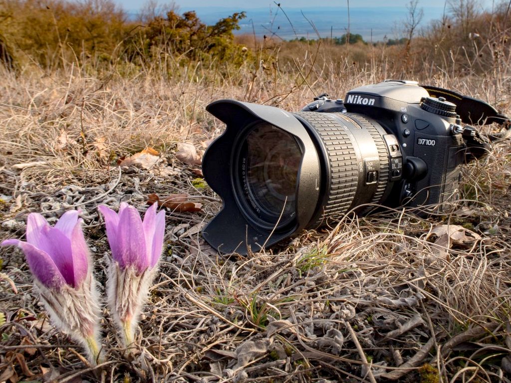 Exposition du concours photo Objectif Saint-Martin