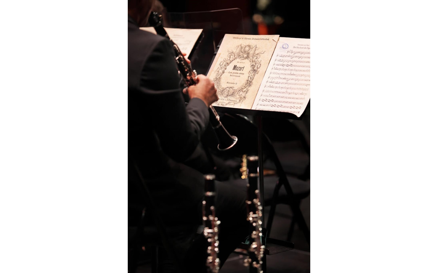 Concert de l'Orchestre Symphonique du Pays Basque de Ravel à Strauss-Ensemble à vent d'Iparraldeko Orkestra