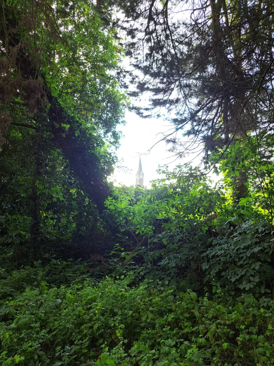 parc volvire sens bretagne