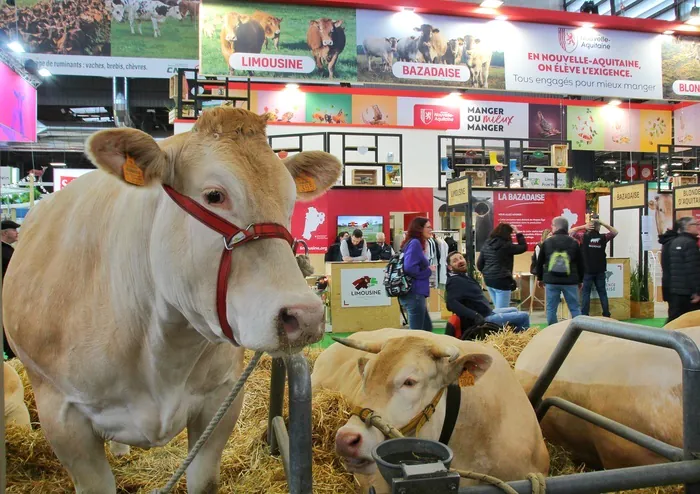 Salon International de l'Agriculture 2025 Paris Expo Porte de Versailles Paris