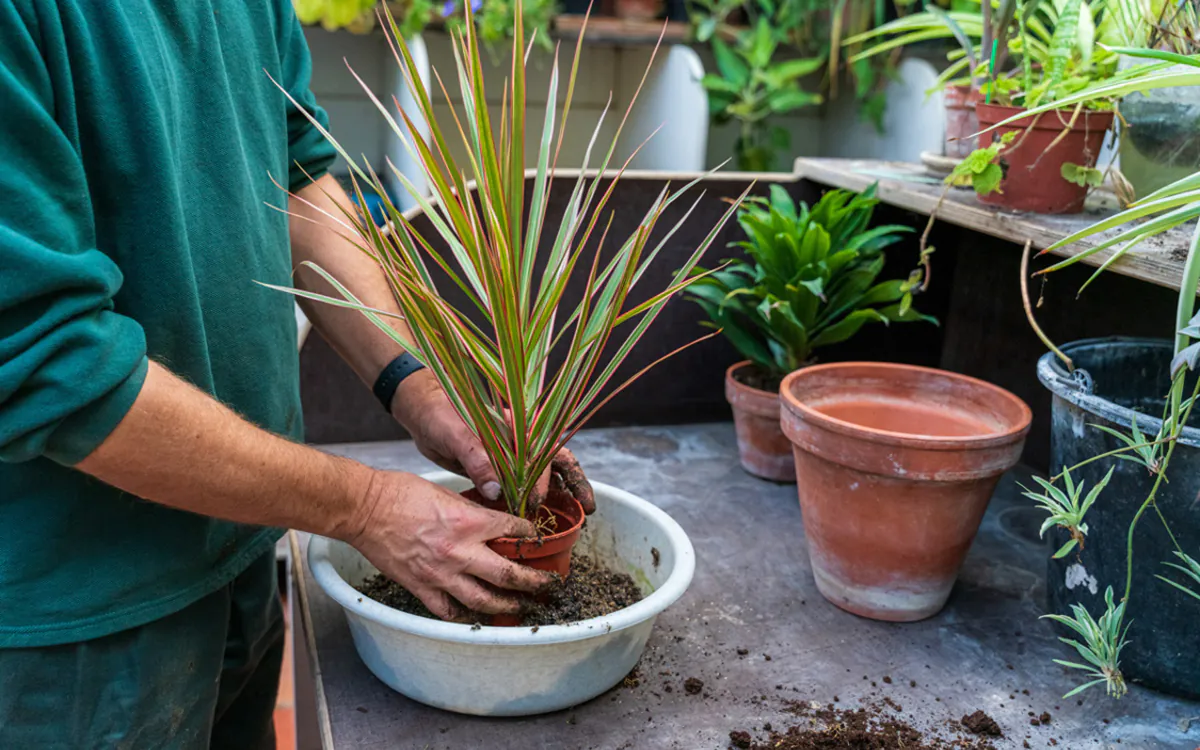 Quel entretien avant l'hiver pour son permis de végétaliser ? Maison du Jardinage-Pôle ressource Jardinage Urbain Paris