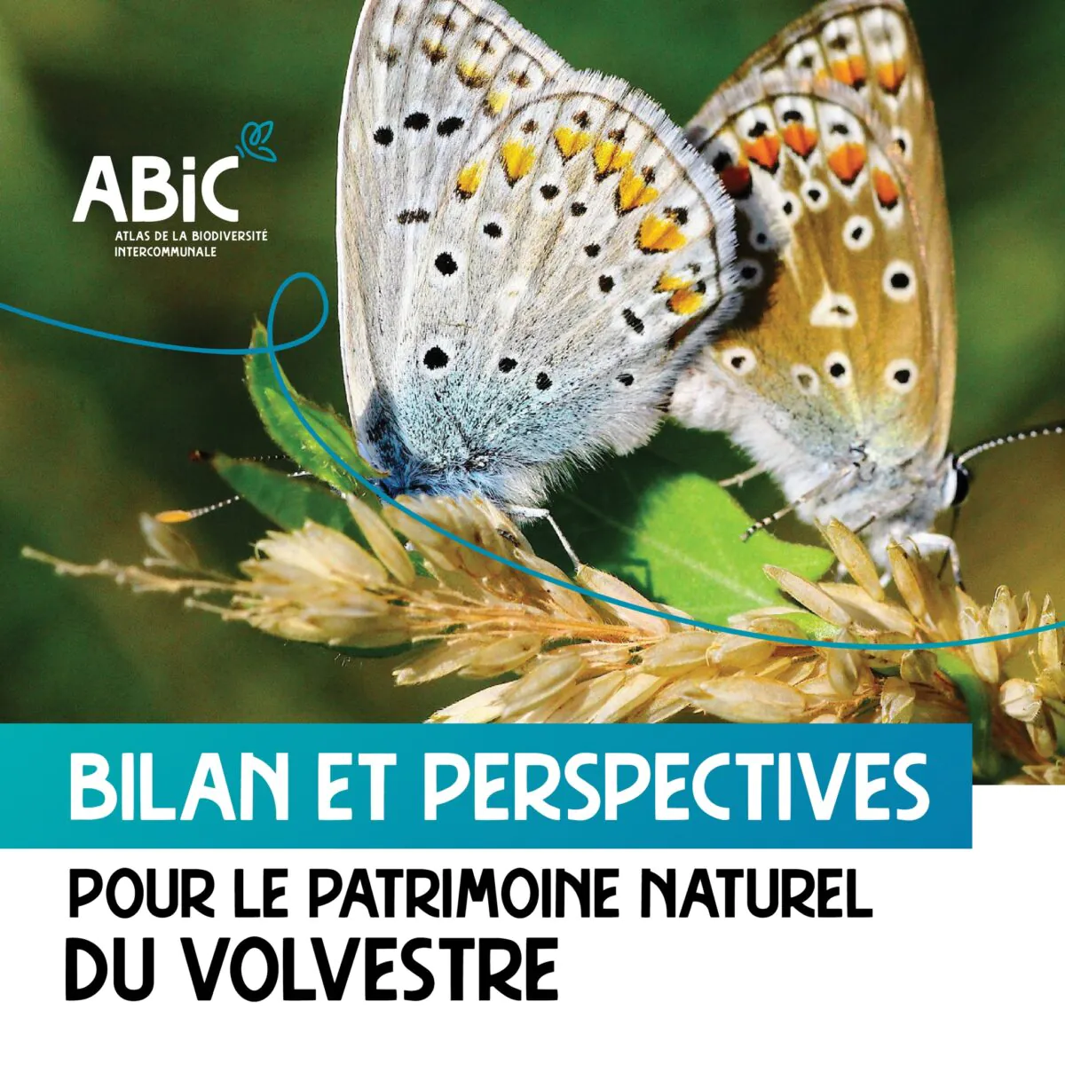 BILAN DE L'ATLAS DE LA BIODIVERSITÉ INTERCOMMUNALE (ABIC)