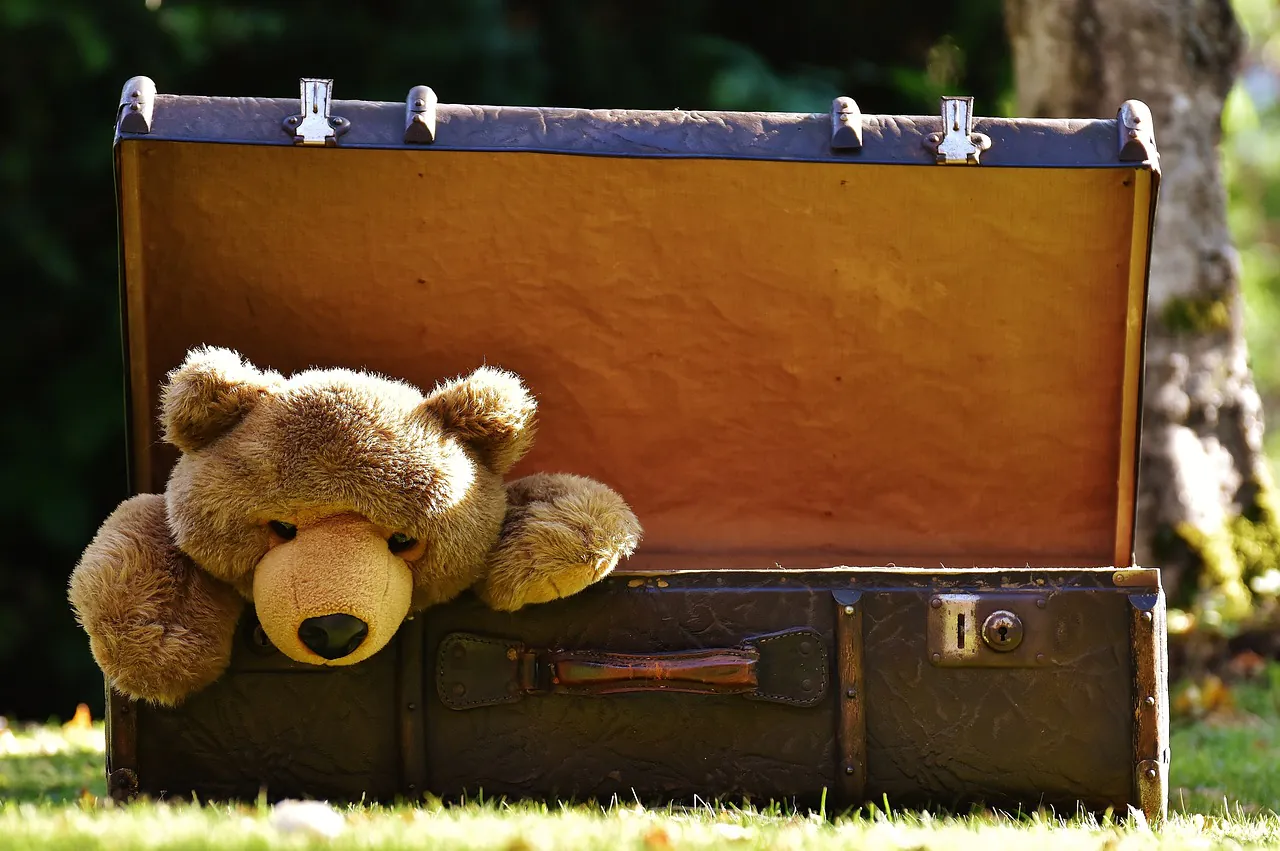 Vide-grenier Familles Rurales Vide ta chambre