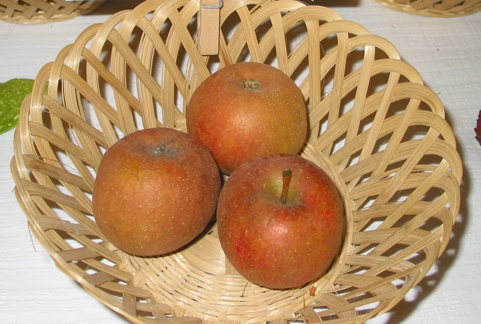 Exposition des fruits de Terroir par les Croqueurs de Pommes