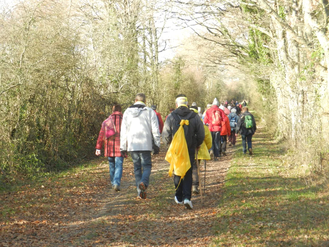 Rando de l'Espoir Saint Benoit sur Loire vers Germigny des Prés