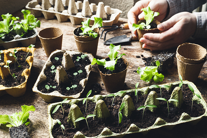 Atelier jardinage Salle Madeleine Huet Saint-Aignan-Grandlieu