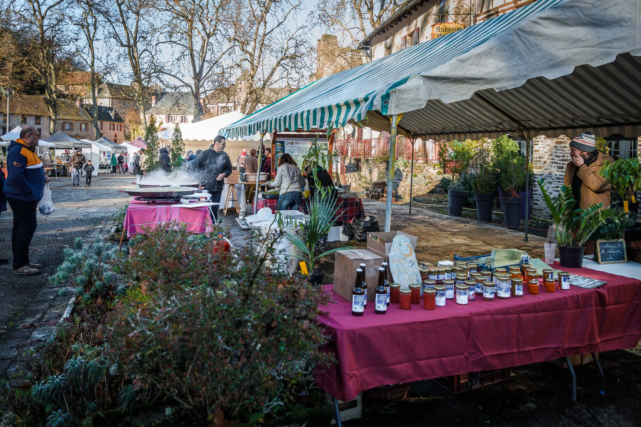 Marché de Noël de Ségur Le Château