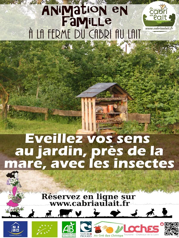 Atelier découverte Vos sens en éveil au jardin