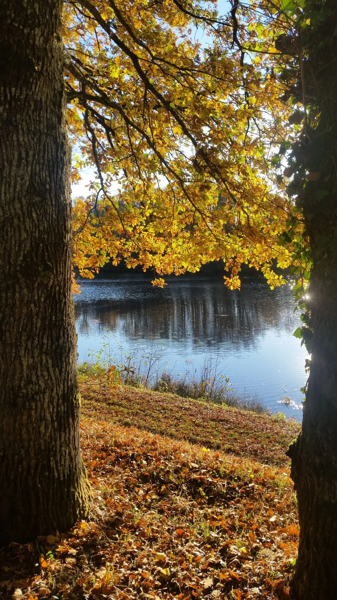 Balade d'automne