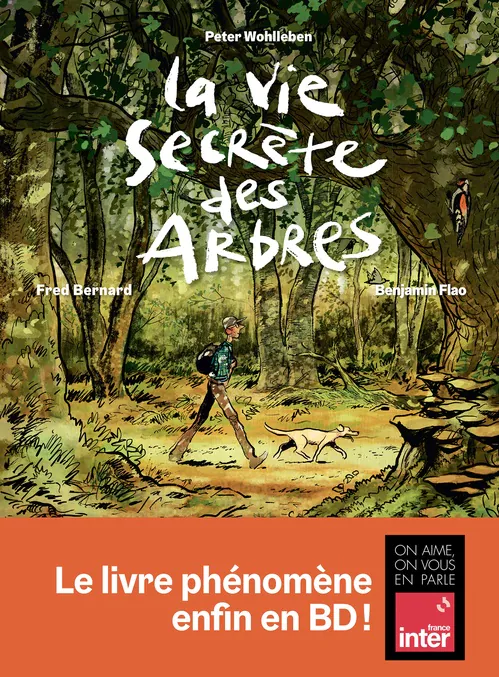 vie ssecrete arbres bd