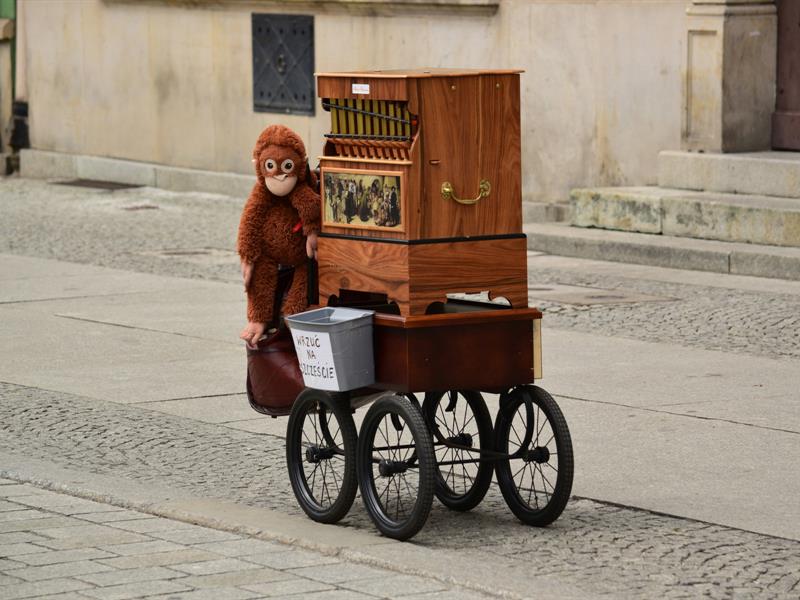 Animation orgue de barbarie