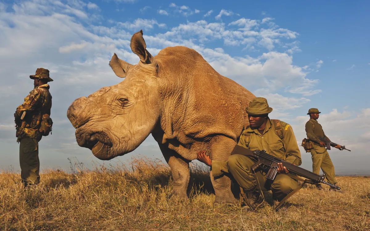 « World Unseen » : l'expo qui rend la photo accessible aux malvoyants et non-voyants La Grande Halle de la Villette Paris