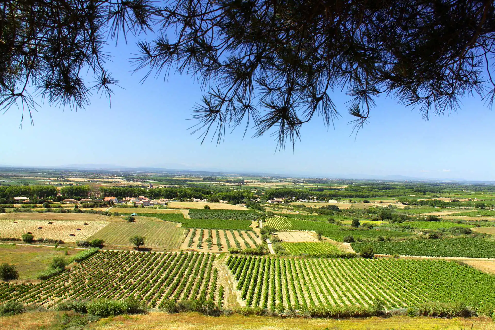 OENORANDO® LE PECH DU THOU Capestang Occitanie