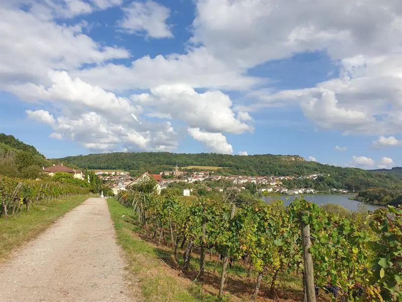 PARCOURS LUDIQUE LE VIN DE CONTZ-LES-BAINS Contz-les-Bains Grand Est