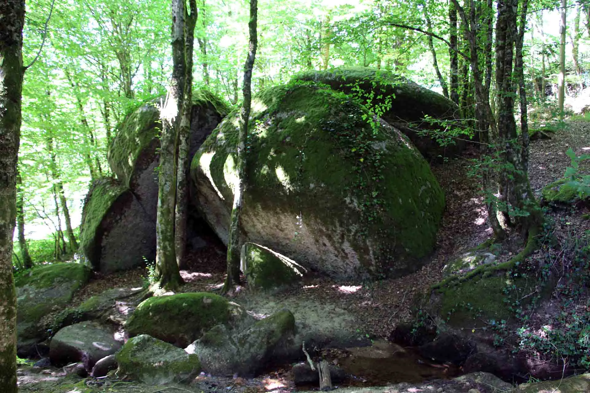 Sentier les Aubespins Saint-Junien Nouvelle-Aquitaine