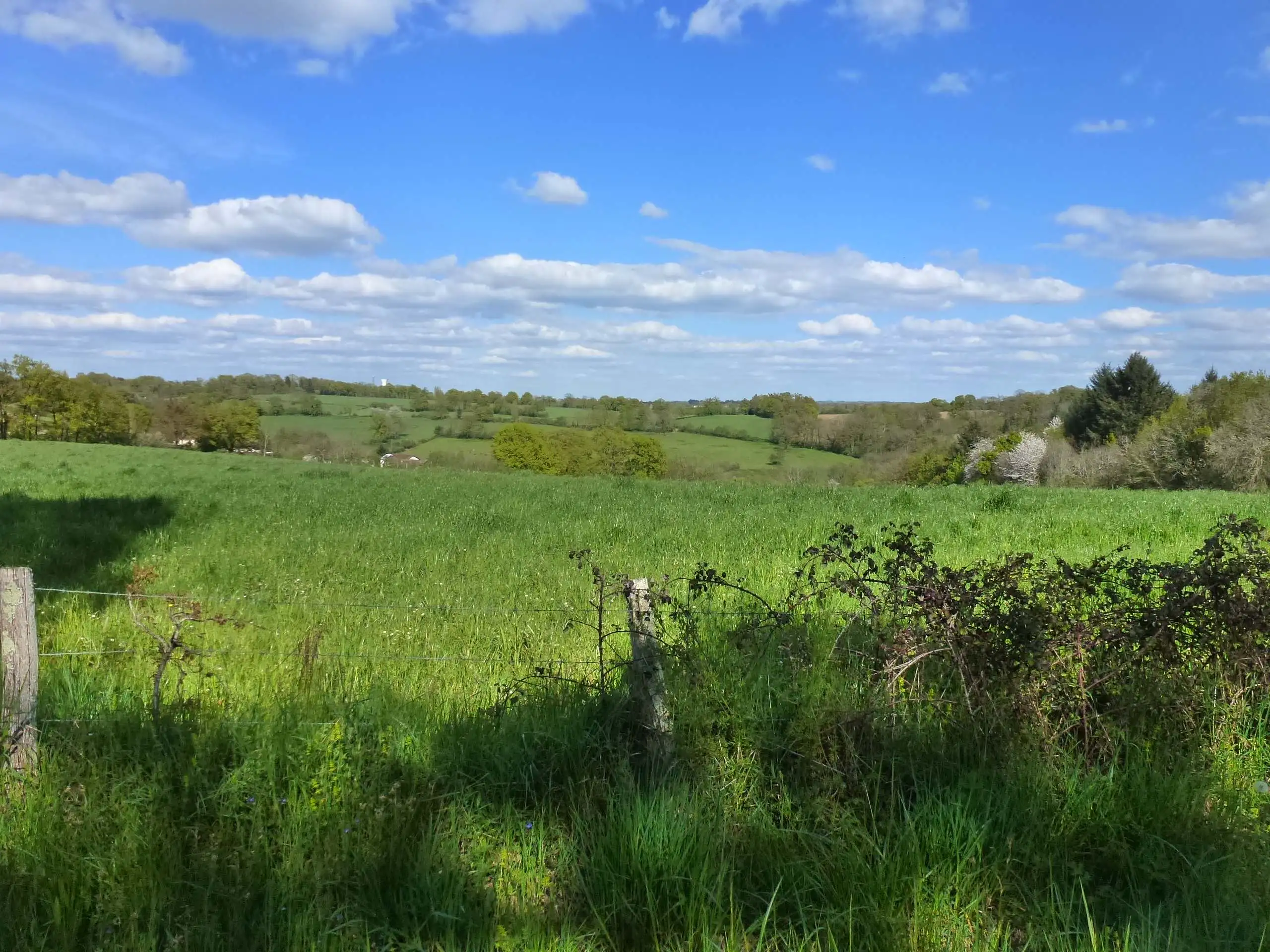 Chemin de Boireau Saint-Victurnien Nouvelle-Aquitaine