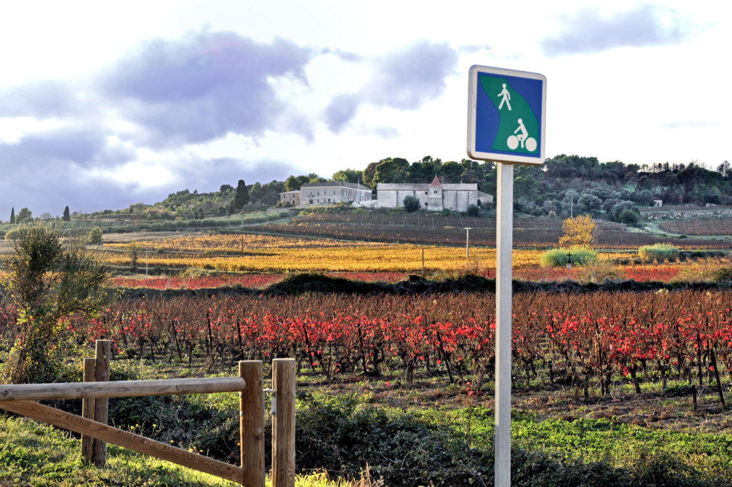 VOIE VERTE CAMIN’ARTS VARIANTE BOUCLE DES CHÂTEAUX Capestang Occitanie