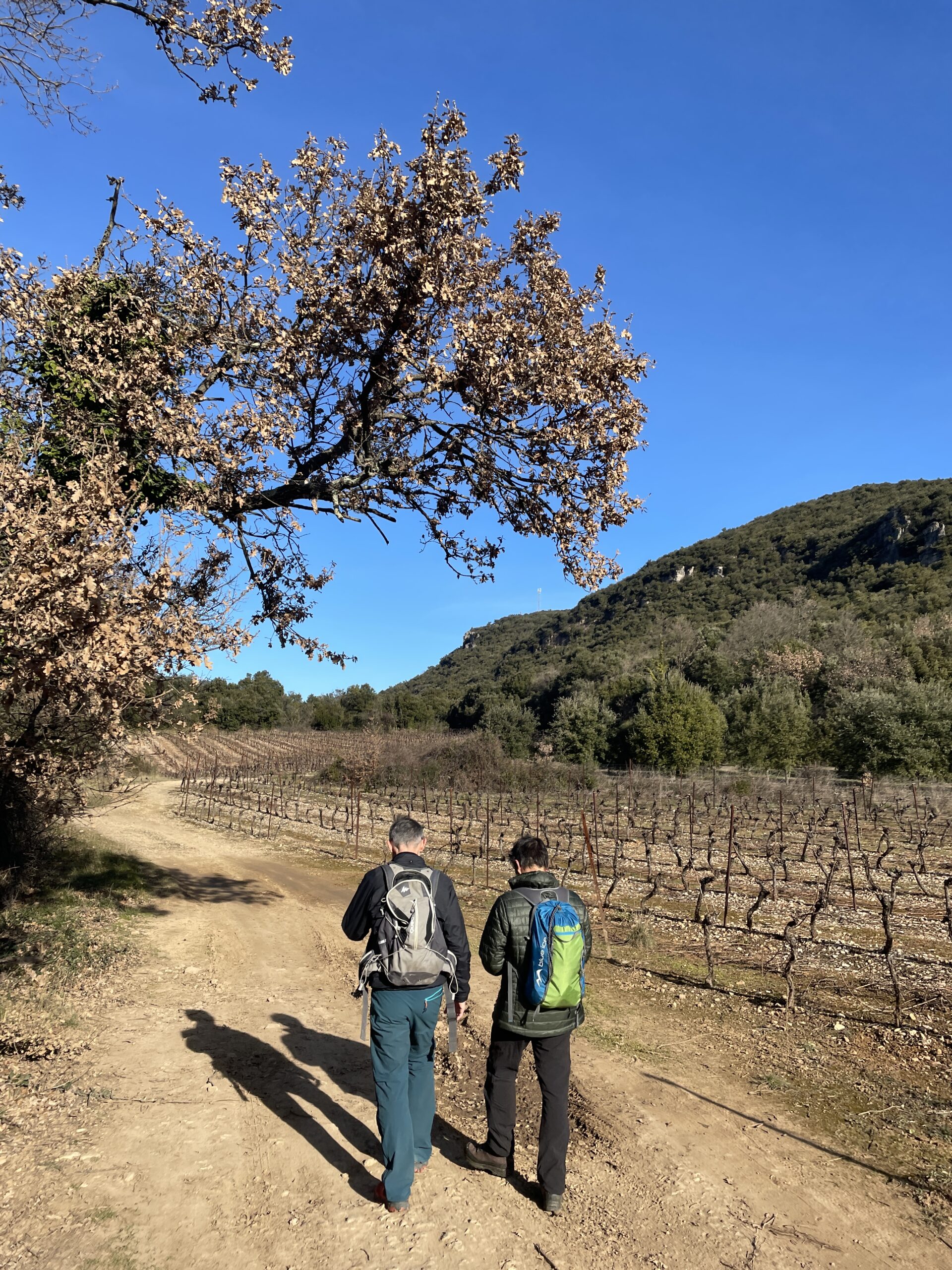 OENORANDO® LA VALLÉE DES ARÔMES Hérépian Occitanie