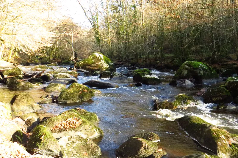 Balade au Saut de la Brame Val-d'Oire-et-Gartempe Nouvelle-Aquitaine