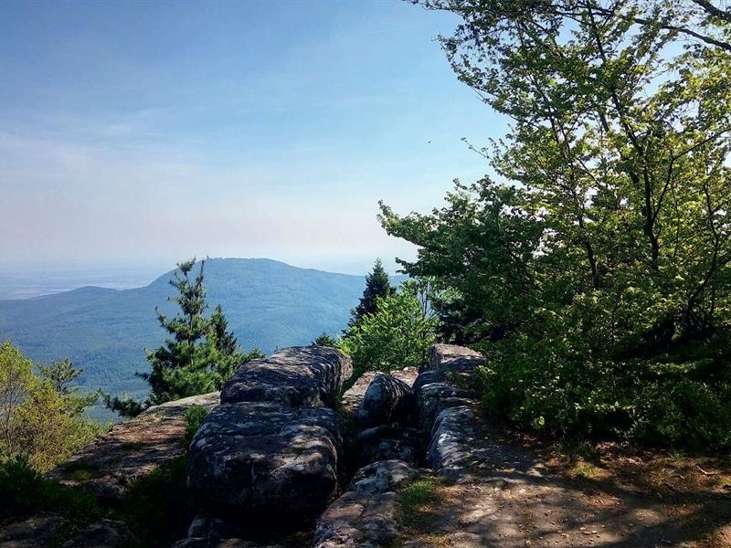 Circuit rando CDF08 Les trois rochers Ottrott Grand Est