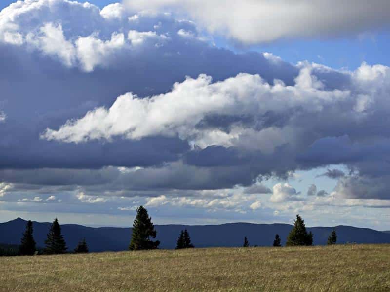 Circuit rando CDF10 Entre chaumes et montagnes Bellefosse Grand Est