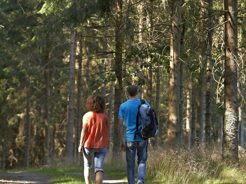 Circuit rando B24 De Muhlbach au chateau de Guirbaden Muhlbach-sur-Bruche Grand Est
