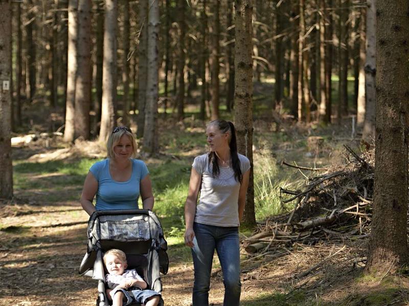 Circuit poussettes 4x4 CDF01 De Bellefosse au point de vue de la Boucherie Bellefosse Grand Est