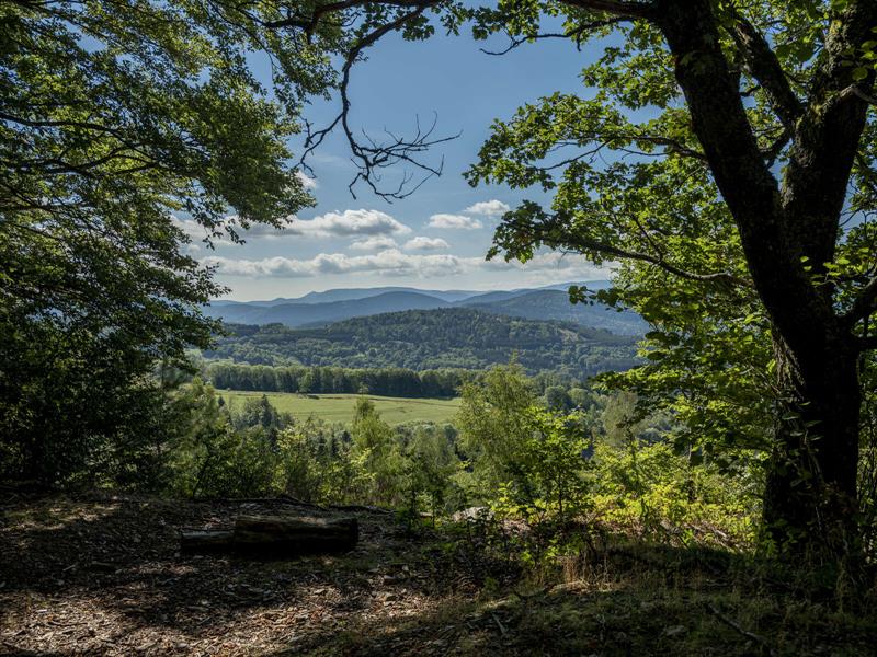 Circuit poussettes D01 De la plateforme du Donon au refuge Roger Laederich Grandfontaine Grand Est