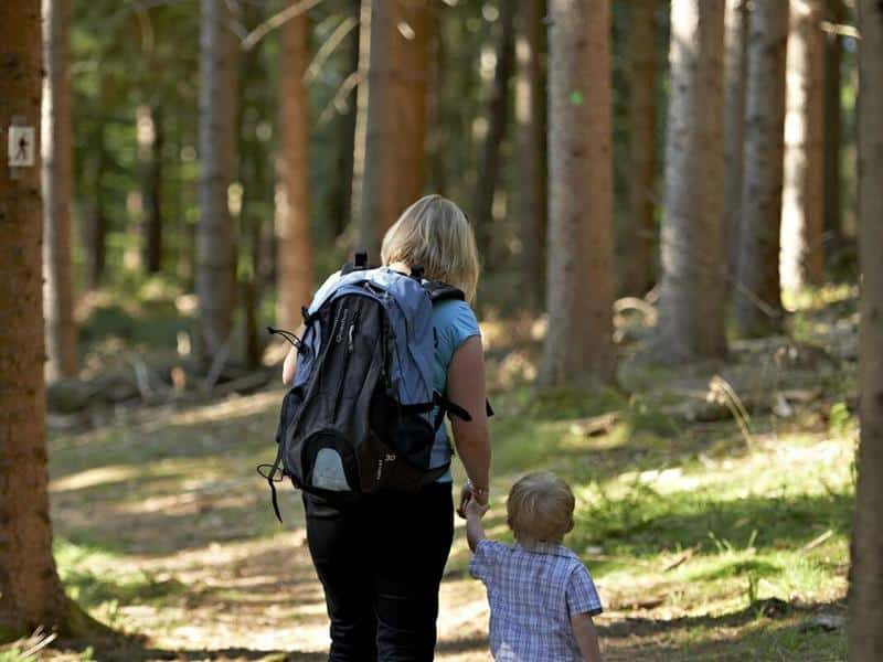 Circuit poussettes H06 De Saulxures à Bourg-Bruche Saulxures Grand Est