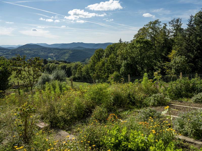 Circuit VTT H07 Du Promont à Stampoumont Saint-Blaise-la-Roche Grand Est