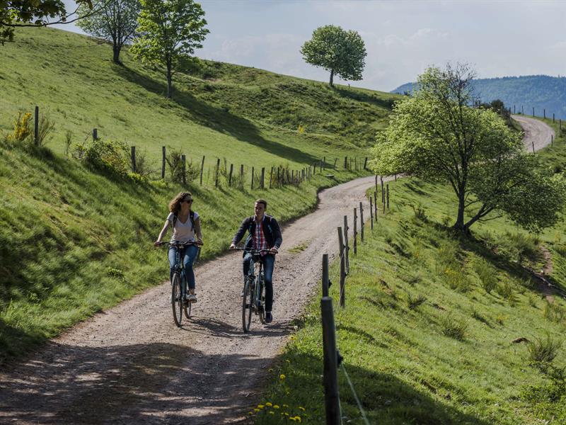 Circuit vélo CDF02 Vers le Champs du Feu et le Hohwald Schirmeck Grand Est