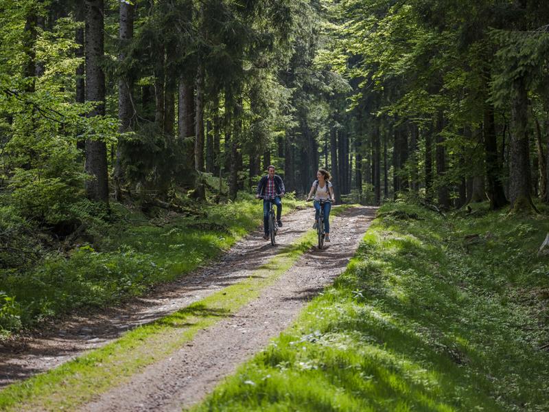 Circuit vélo CDF03 Du col de la Charbonière au Mont Sainte Odile par les 2 vallées Bellefosse Grand Est