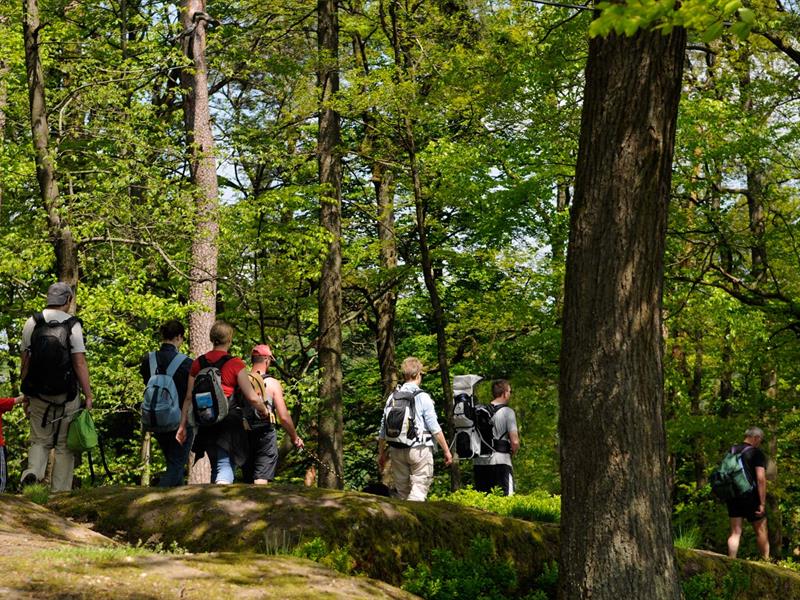 Boucle rando 5 jours dans les Vosges du Nord Wissembourg Grand Est