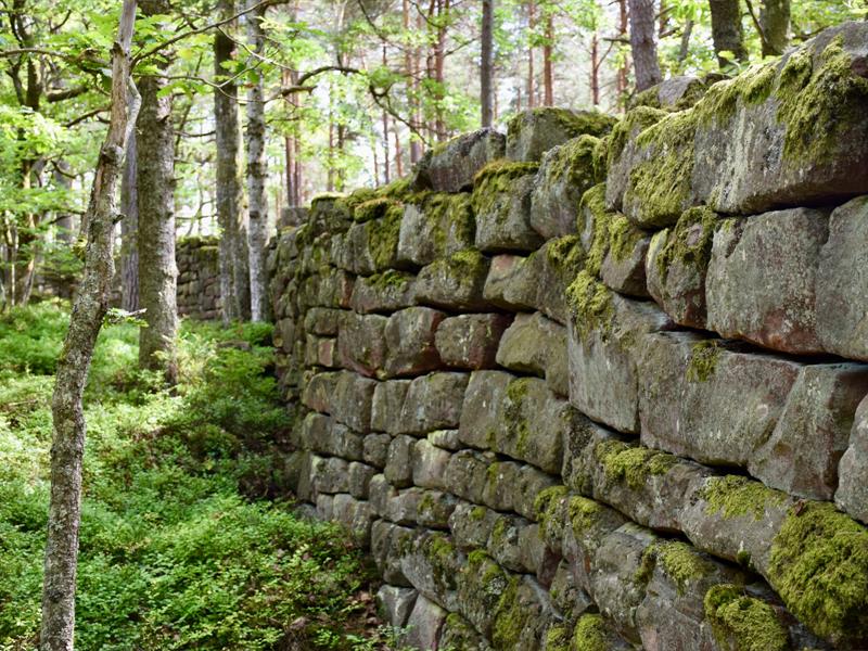 Le Mur Païen Ottrott Grand Est