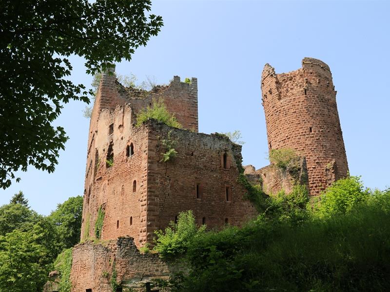 Circuit à la découverte des châteaux d'Ottrott Ottrott Grand Est