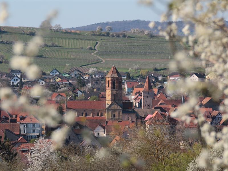 Circuit des balcons Rosheim Grand Est