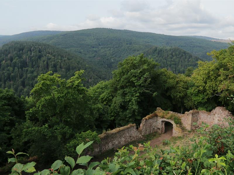 Circuit entre rocher et château Mollkirch Grand Est