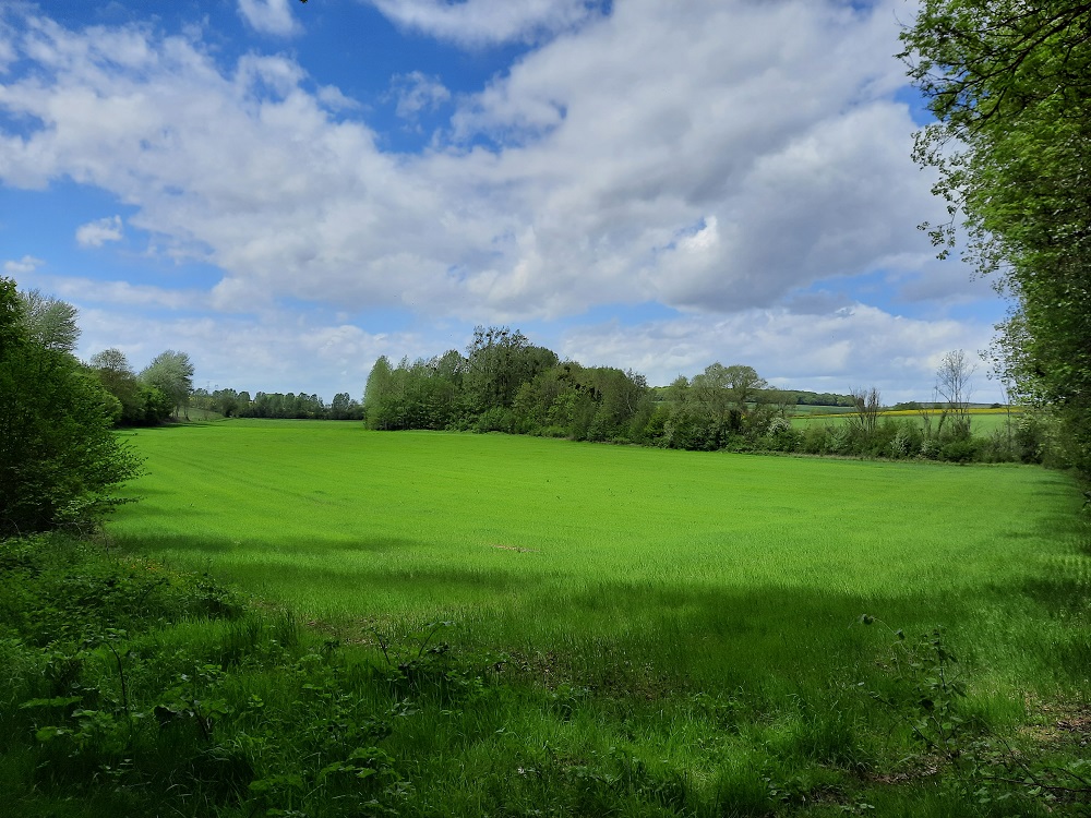 Des jardinets au bois Louvet (variante) Haudivillers Hauts-de-France