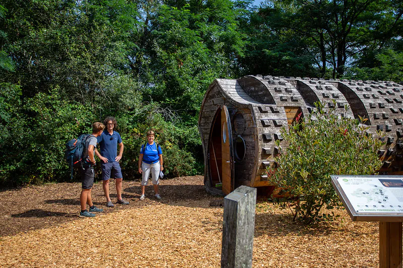 Balade à roulettes La forêt du Bourgailh Pessac Nouvelle-Aquitaine