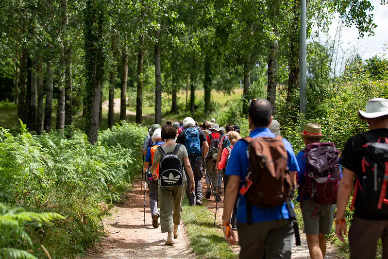 Chemin d'Amadour étape 7 de Bordeaux à Créon Bordeaux Nouvelle-Aquitaine