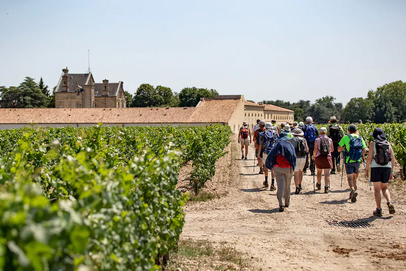 Les vignobles à vélo la boucle des Châteaux de Pauillac Pauillac Nouvelle-Aquitaine